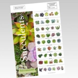 EDDM Full Service - Sell Sheets